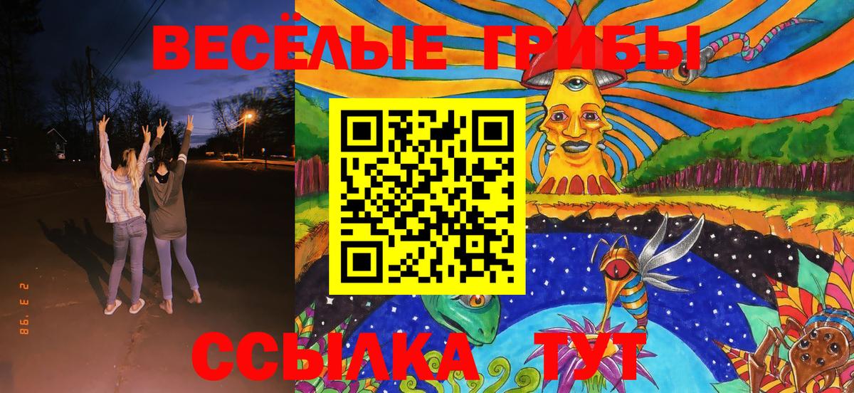 Псилоцибиновые грибы ЛСД Новоалтайск